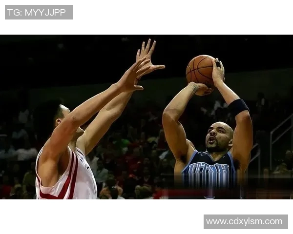 布鲁克洛佩斯：从篮筐守护者到全能得分手的华丽转身